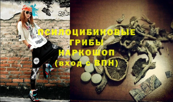 дурь Михайловка