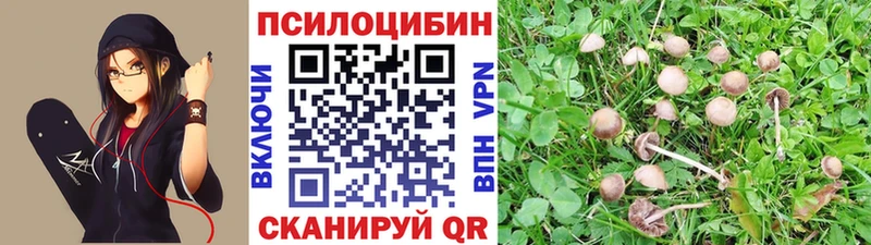 Галлюциногенные грибы Magic Shrooms где можно купить наркотик Одинцово