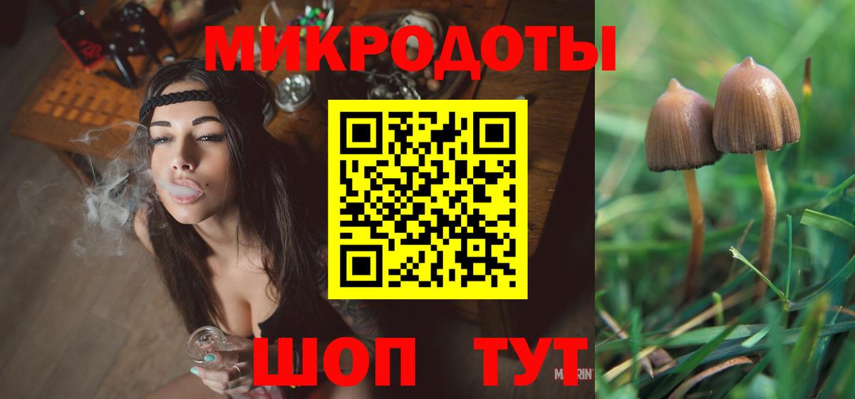 Псилоцибиновые грибы прущие грибы  Псилоцибиновые грибы мицелий  Одинцово  Вход с VPN 